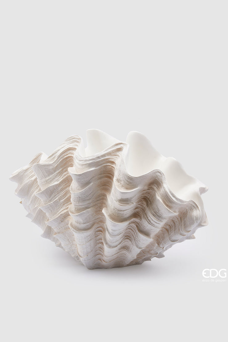 Vaso Conchiglia
