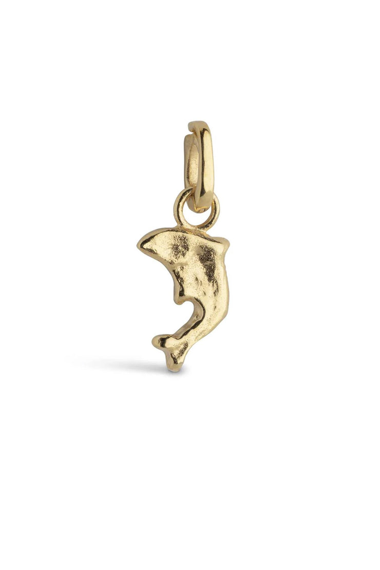 Charm, Joyful Dolphin
