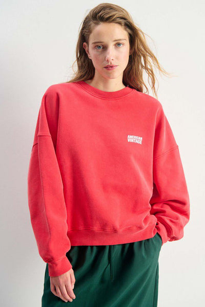Sweatshirt Plizzy - Vinatge Volcano