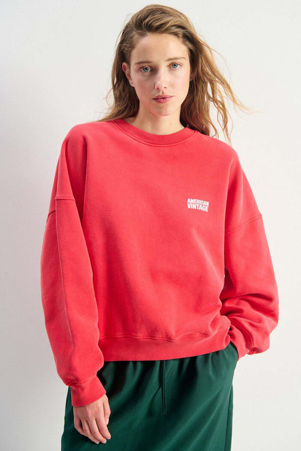 Sweatshirt Plizzy - Vinatge Volcano