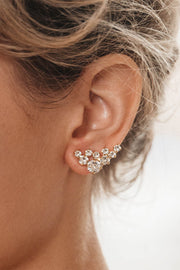 Stardust Earrings - Crystal