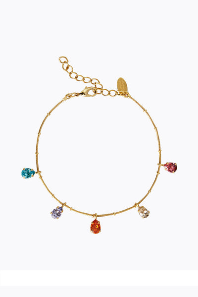 Estelle Ankle Chain - Rainbow Combo